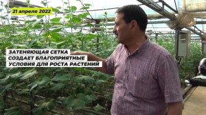 Затеняющая сетка для теплицы - зачем она нужна ?