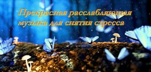 Прекрасная расслабляющая музыка для снятия стресса