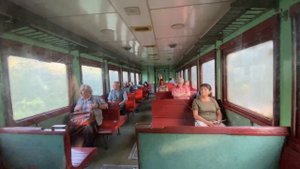 Дизель-поезд Д1, краткий обзор и поездка. Львовская жд