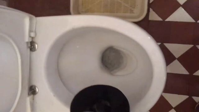 Отзыв Вантуз пневматический, насосного типа с регулировкой давления до 7 бар SUPER EGO Пневмованту смотреть онлайн