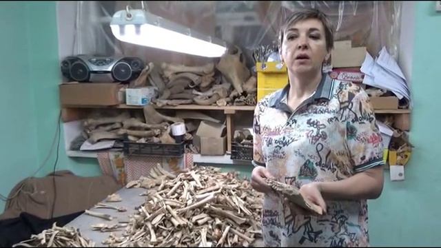 Про то, как жители Азака 700 лет назад верблюдов ели