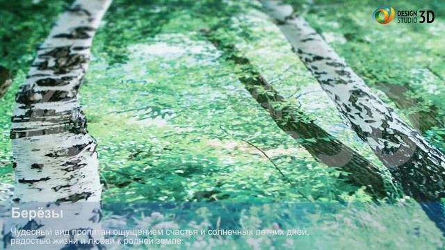 3D Фотообои "Березы"