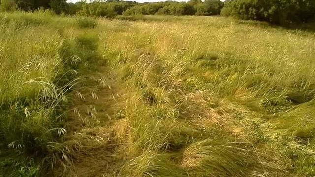 Татьяна, Сергей и Александр Никитины - Размытый Путь (Сл.Н.Рубцов, муз.А.Дулов) смотреть онлайн