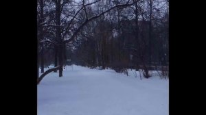 Смена времен года. Таймлапс длиною в год.