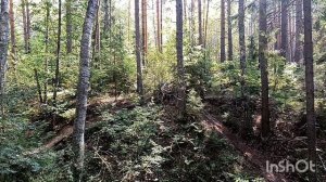 На КРУЧУ в баню с велосипедами