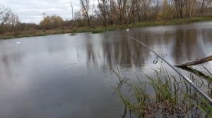 Ловля крупного окуня осенью на джиг с берега