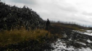 Мезиновская УЖД (узкоколейная железная дорога), Владимирская область