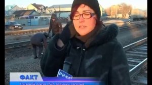В Актобе поезд сбил девушку