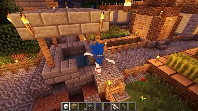 КАК МЕНЯЛСЯ СОНИК И ЕГО ЖИЗНЕННЫЙ ЦИКЛ В МАЙНКРАФТ ~ ЭВОЛЮЦИЯ СОНИКА В MINECRAFT SONIC смотреть онлайн