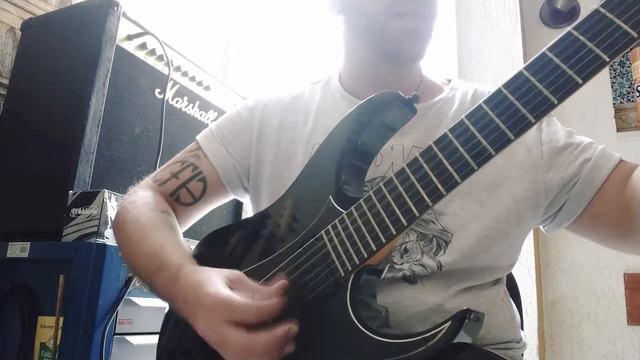 Ibanez RG 220B custom смотреть онлайн
