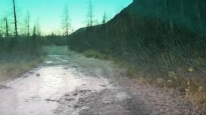 когда только купил ниву