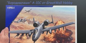 Бородавочник A-10C от "Great Wall Hobby". Новинка в 48 масштабе.