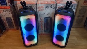 Акустическая система Eltronic 20-61