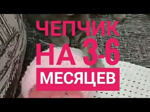 Чепчик на 3-6 месяцев (первое видео) #shorts