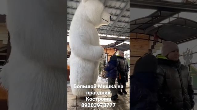 Большой мишка на праздник Кострома