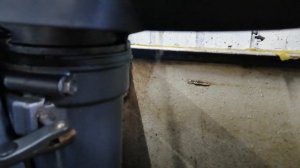 Лодочный мотор Yamaha 5 л. с лот 19  цена 42000 тр