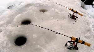 Рыбалка. Зимний фидер и мормышка.