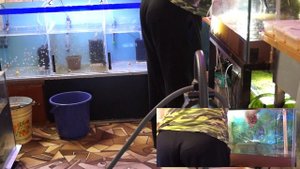 Перезапуск аквариума на 400 литров...