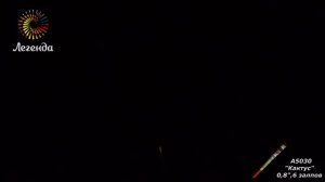 Римская свеча Кактус (0,8"х6) A5030 Легенда