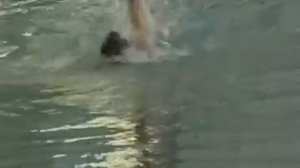 Видео по плаванию. На спине.Техника 3