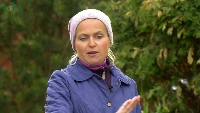 Сад на склоне: достоинства ландшафта - 7 дач смотреть онлайн