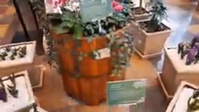 Оранжерея смотреть онлайн