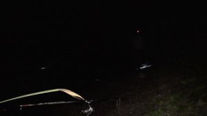 Ловля сома на медведку. Поклевки радуют глаз! Сазанчик на макушатник. Рыбалка 2021 с ночевкой