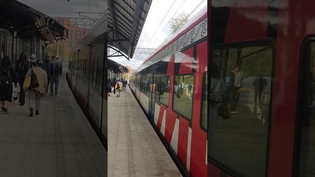 МЦД-3🚇Электропоезд🐤