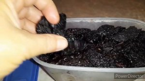 Вкусно и полезно!//Вяленный чернослив