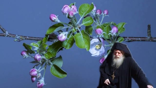 НЕЧАЯННАЯ РАДОСТЬ. Рассказ архимандрита РАФАИЛА (Карелина) смотреть онлайн