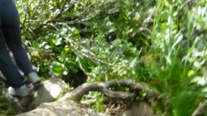 Ивановские озера