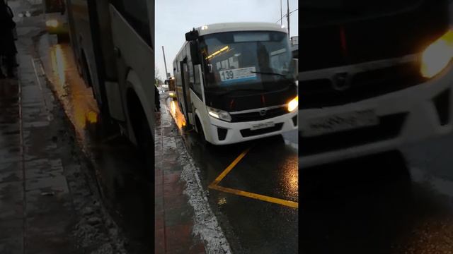 Автобус паз вектор некст с маршрутом 139