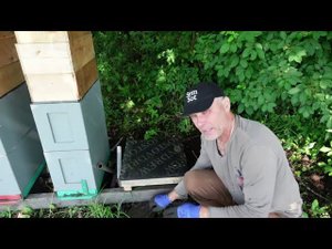 GSM контрольные весы