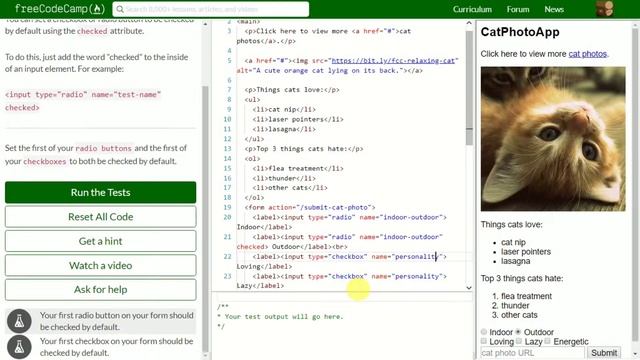 [24] Check Radio Buttons and Checkboxes by Default смотреть онлайн