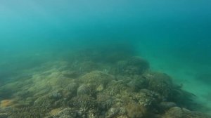 ВЫЖИВАНИЕ 7 ДНЕЙ НА НЕОБИТАЕМОМ ОСТРОВЕ. БЕЗ ЕДЫ И ВОДЫ  [2 СБОРНИК 6 го СЕЗОНА]