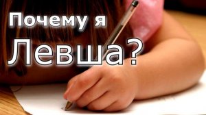 Откуда берутся левши?