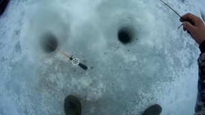 Зимняя рыбалка. Озернинское водохранилище. Март 2019