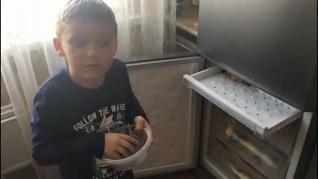 Проект "Можно ли прорастить кедровый орех" смотреть онлайн