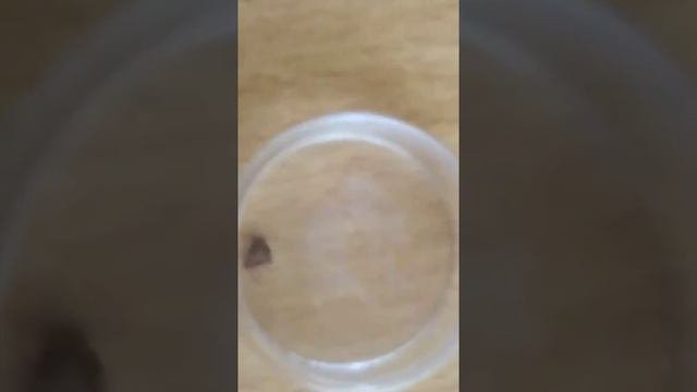 Защита от клещей
