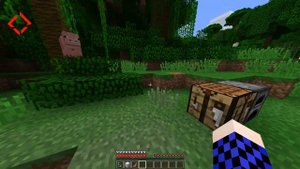 6 лайфхаков для выживания Minecraft