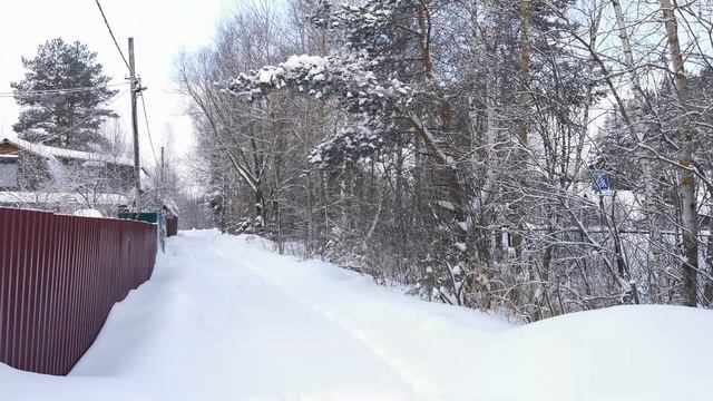Замело снегом Жучку, а Рыжий пропал. смотреть онлайн