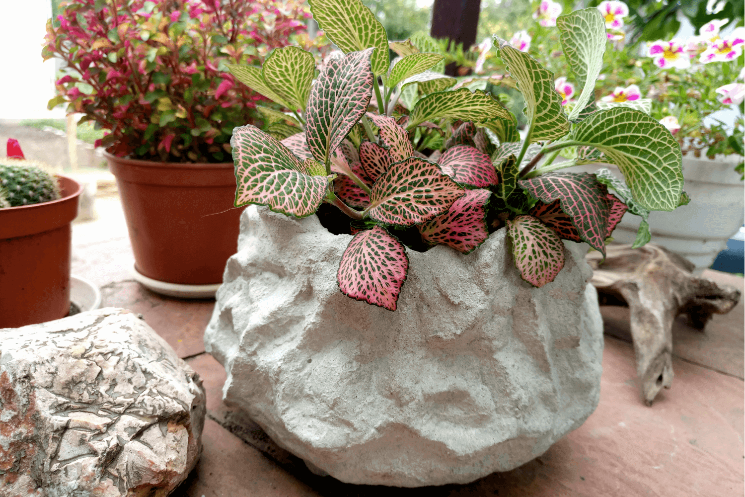 Как сделать бетонное кашпо для цветов? (How to make a concrete flower pot?)