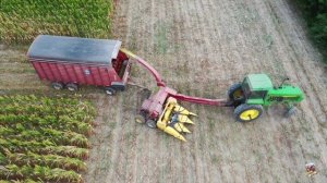 Chopping Corn Silage near Greenville Ohio