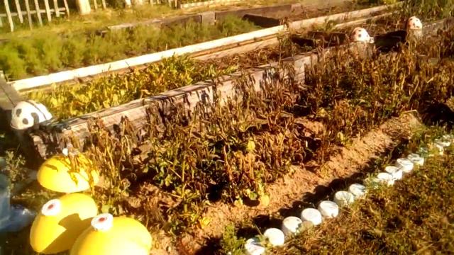 АНАМАЛЬНАЯ ПОГОДА! смотреть онлайн