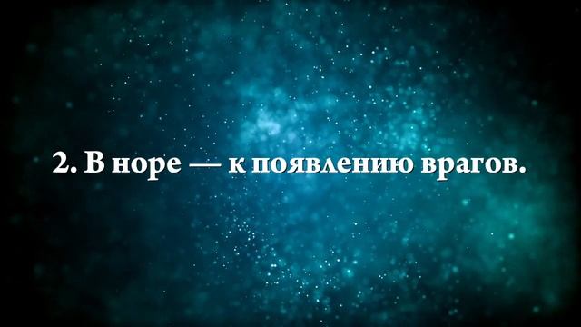 К чему снится суслик - Онлайн Сонник Эксперт смотреть онлайн