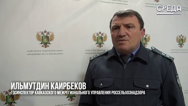 В Кизлярском районе выявлены территории, загрязненные полиэтиленовой пленкой