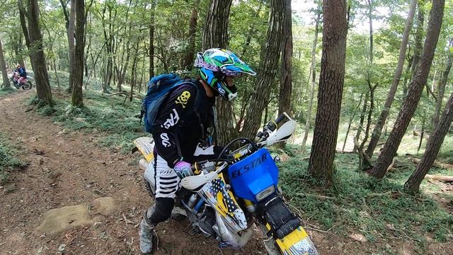 追い撮り動画 セロー250 RMX250 DR250 смотреть онлайн