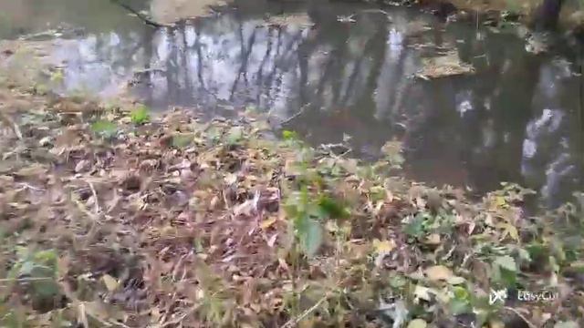 рибалка на паук з Сашком.ловля риби руками #рибалка #fishing #паукподъемник #окунь