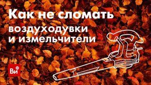 Воздуходувки и измельчители: инструкция по применению. Как не сломать садовую технику