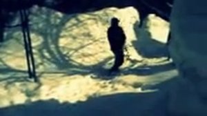 Шаолиньский комплекс УШУ с тростью. /Посох с ручкой из коровьего рога/.